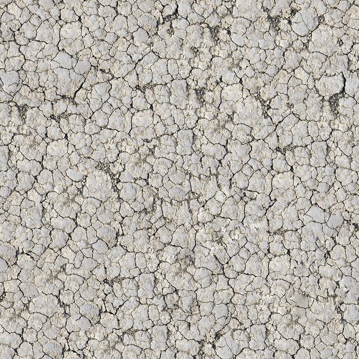 A close-up of a cracked ground