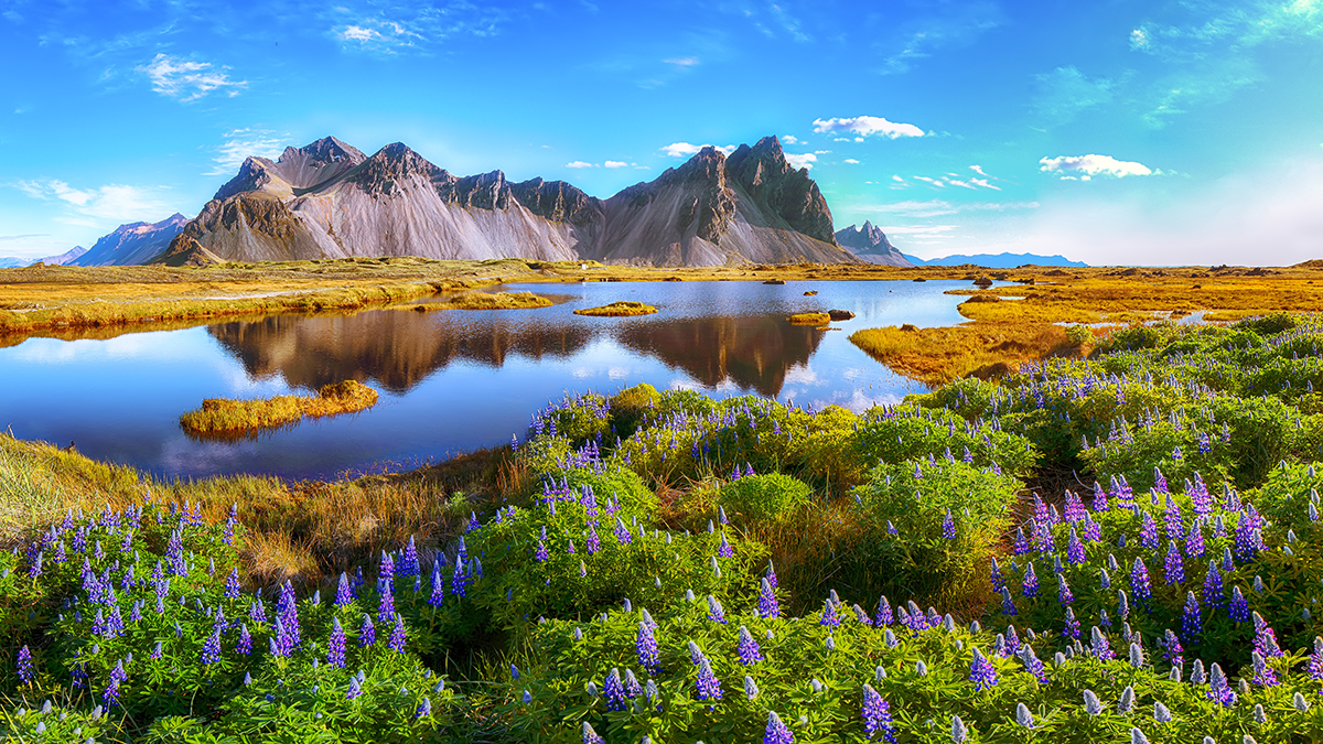 A lake surrounded by mountains