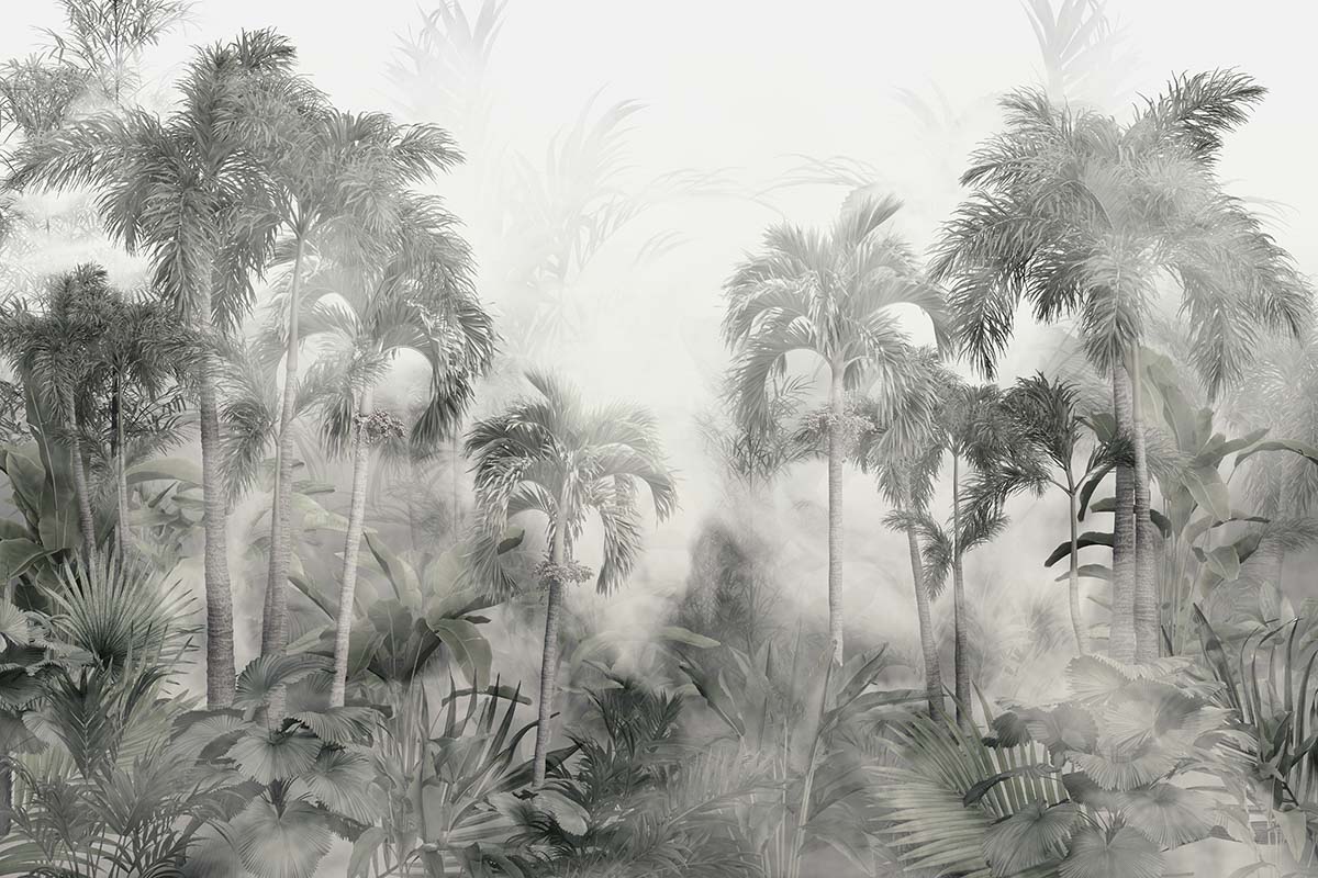 A group of palm trees in fog