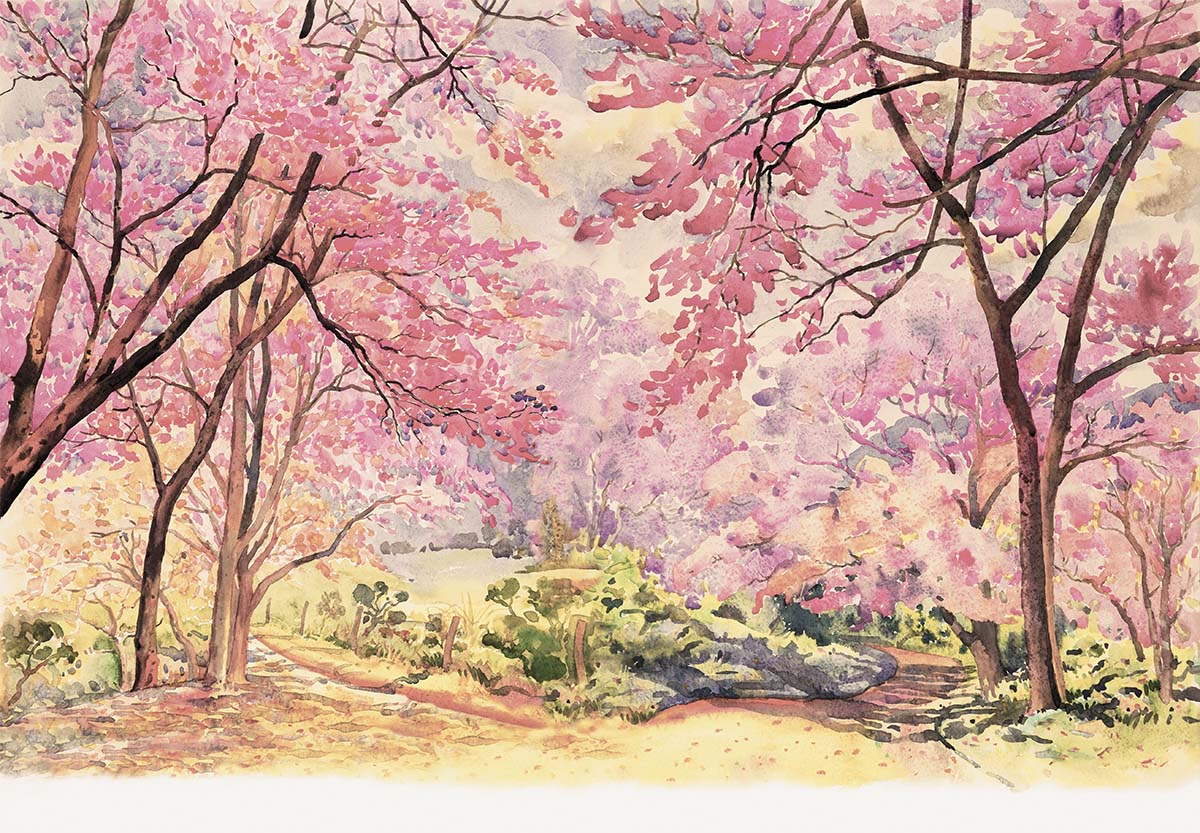 A watercolor painting of pink trees