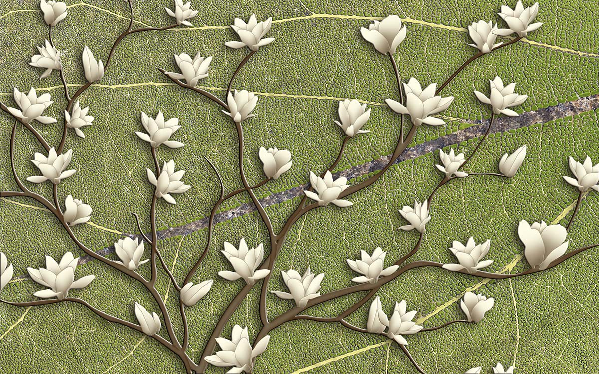 A white flowers on a green surface