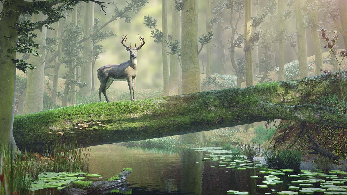 A deer standing on a log over a river