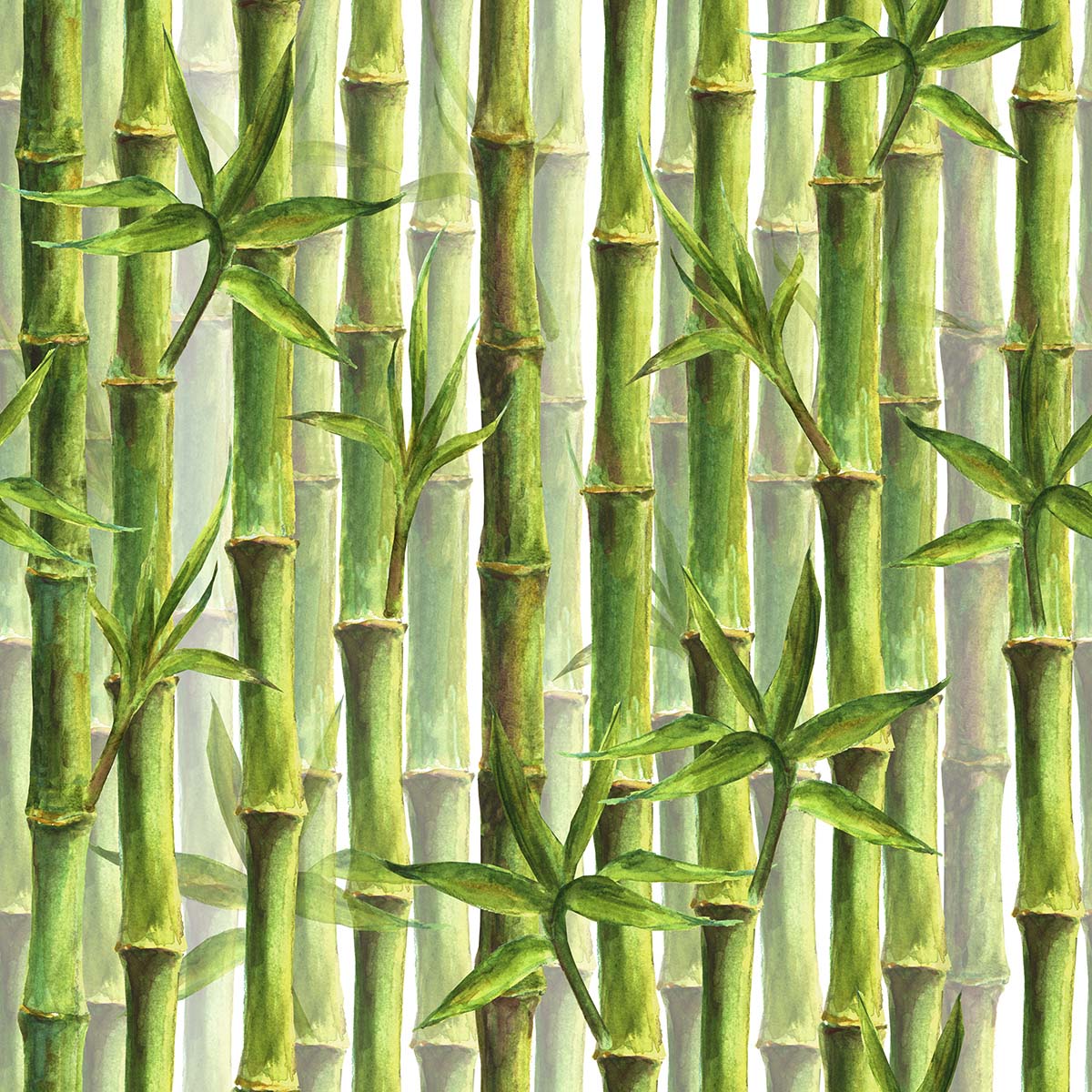 A group of bamboo stems with leaves