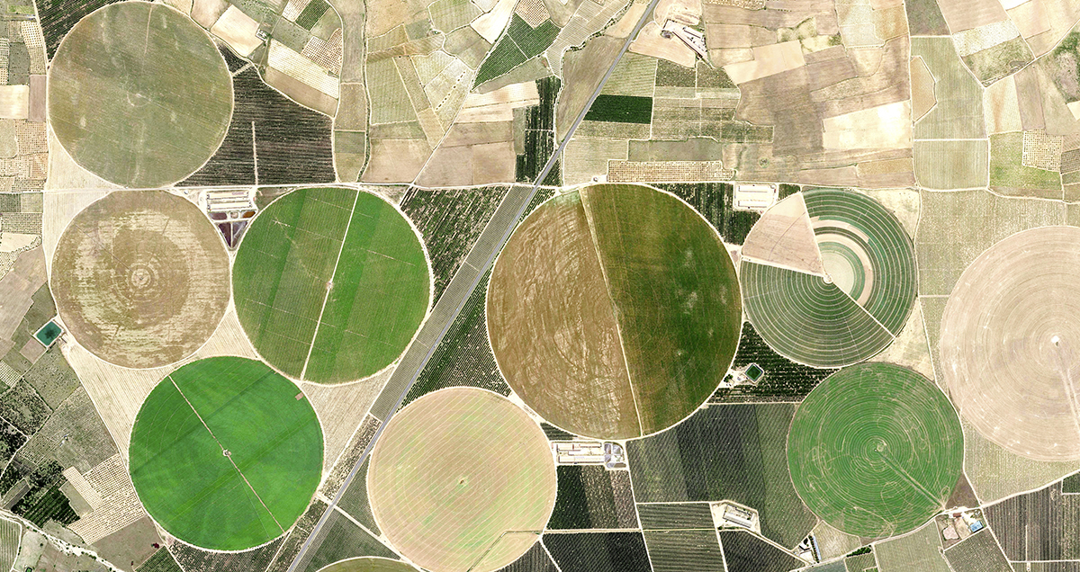 Aerial view of fields and fields