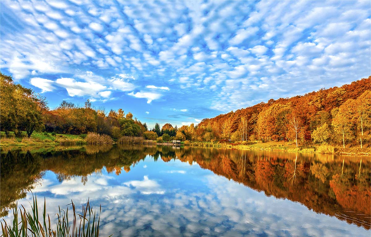 A lake with trees and clouds in the sky