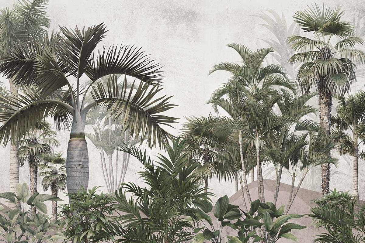 A group of palm trees