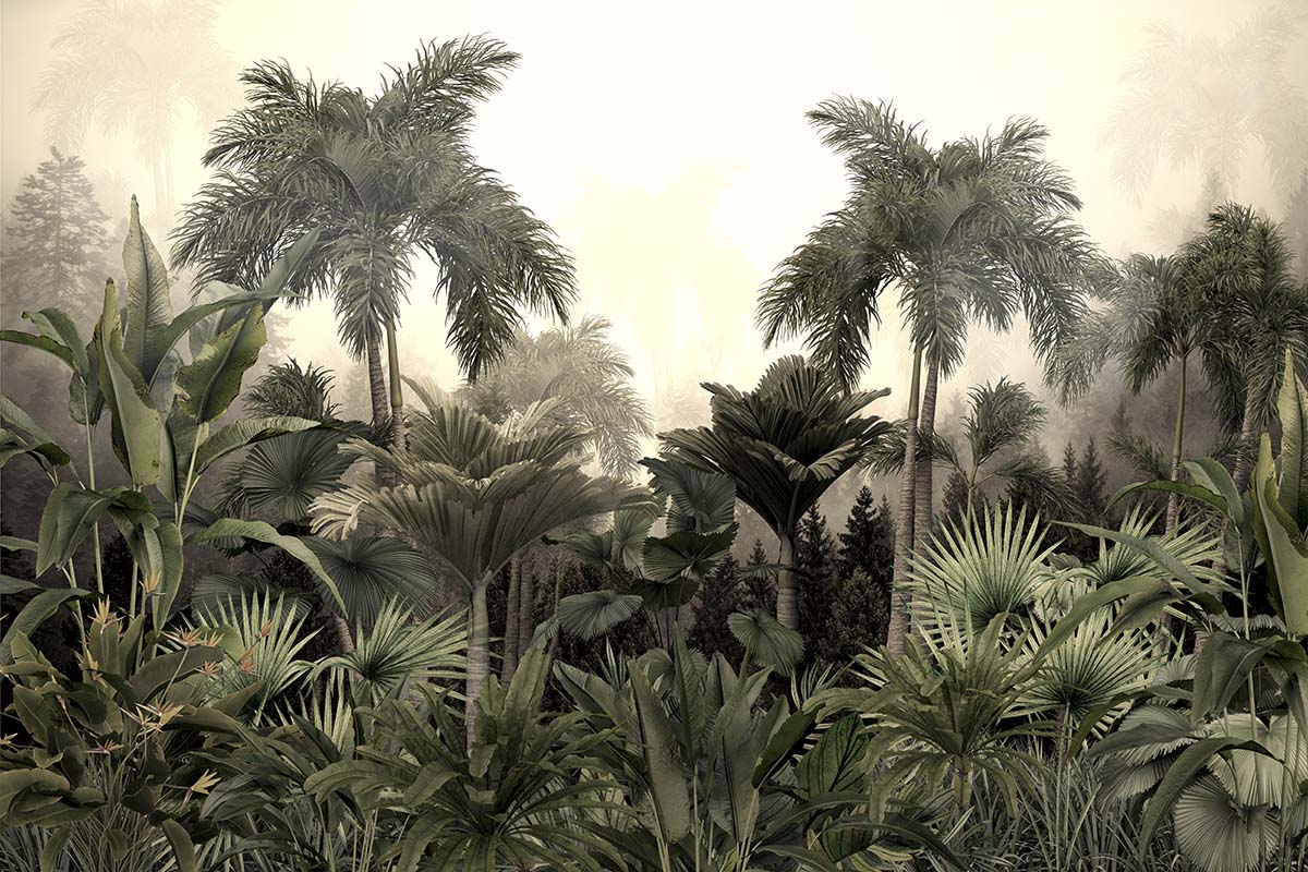 A group of palm trees