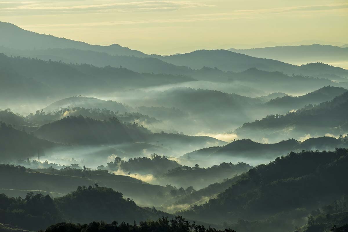 A foggy landscape of hills with trees and clouds