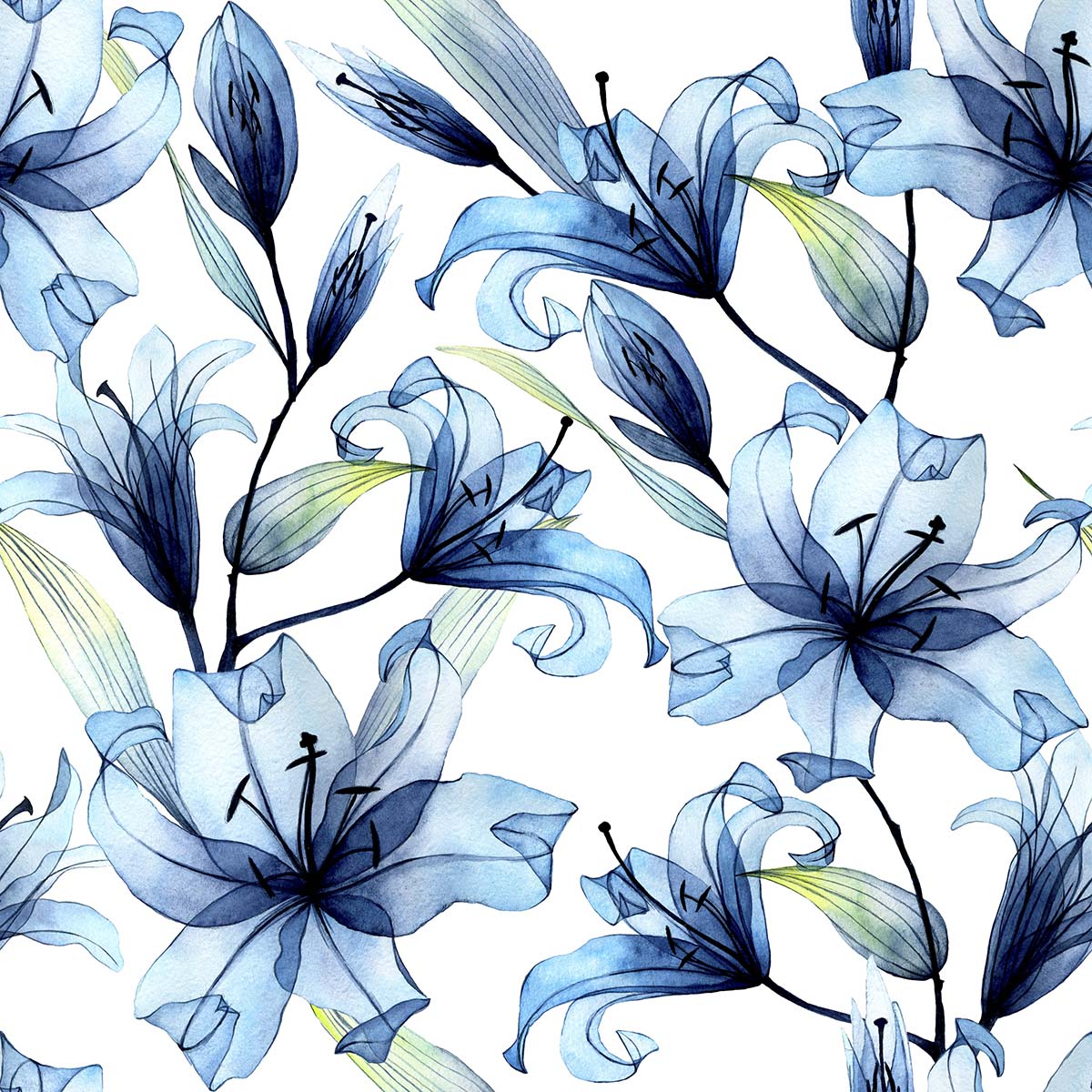 A blue flowers on a white background