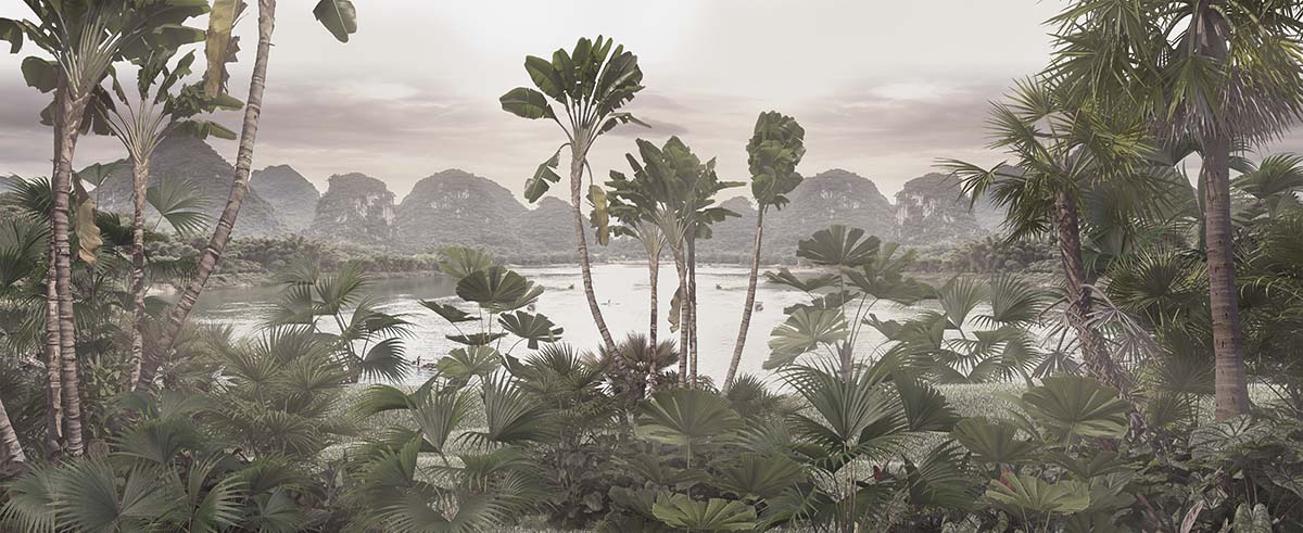 A group of palm trees by a body of water