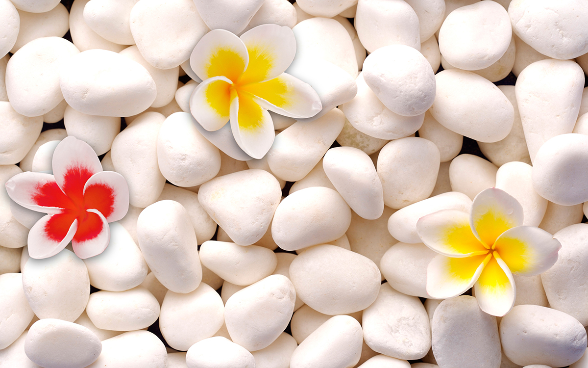 White rocks with flowers on them