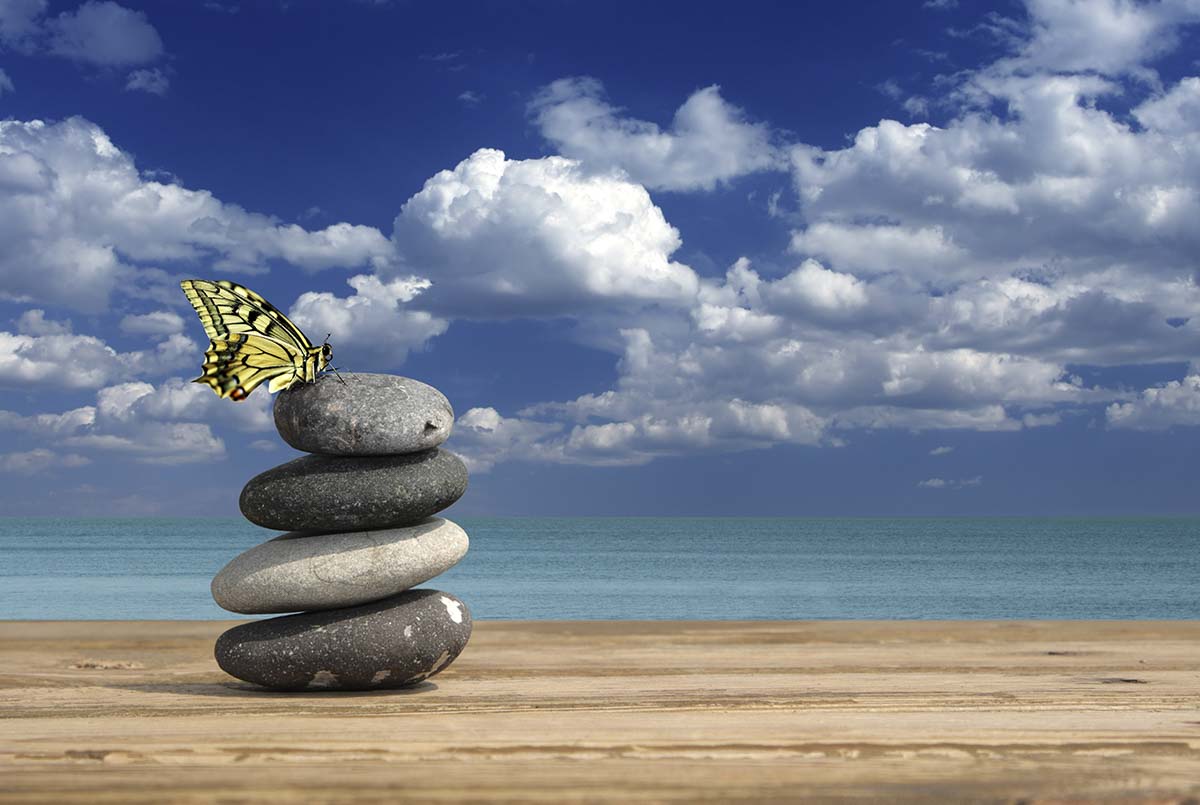 A butterfly on top of a stack of rocks