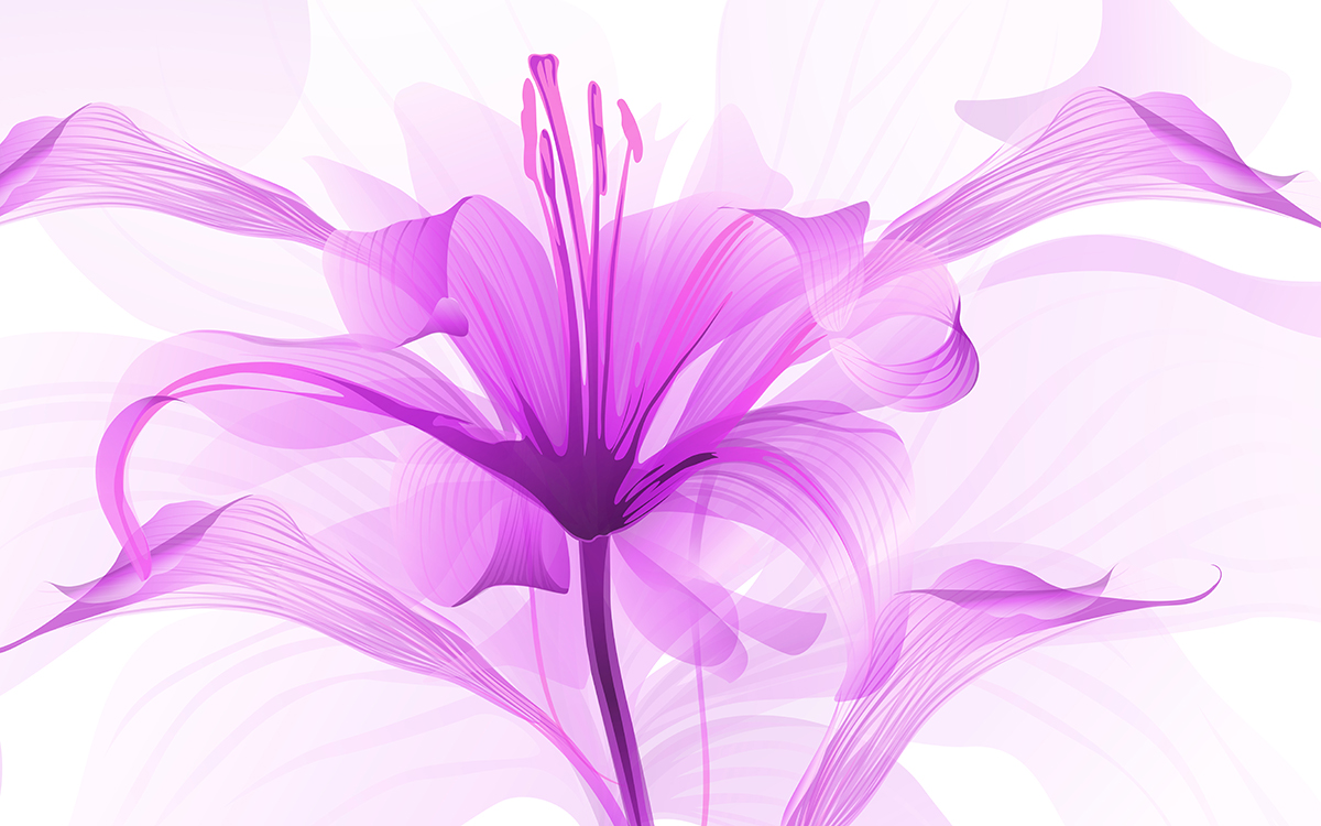 A purple flower with many petals