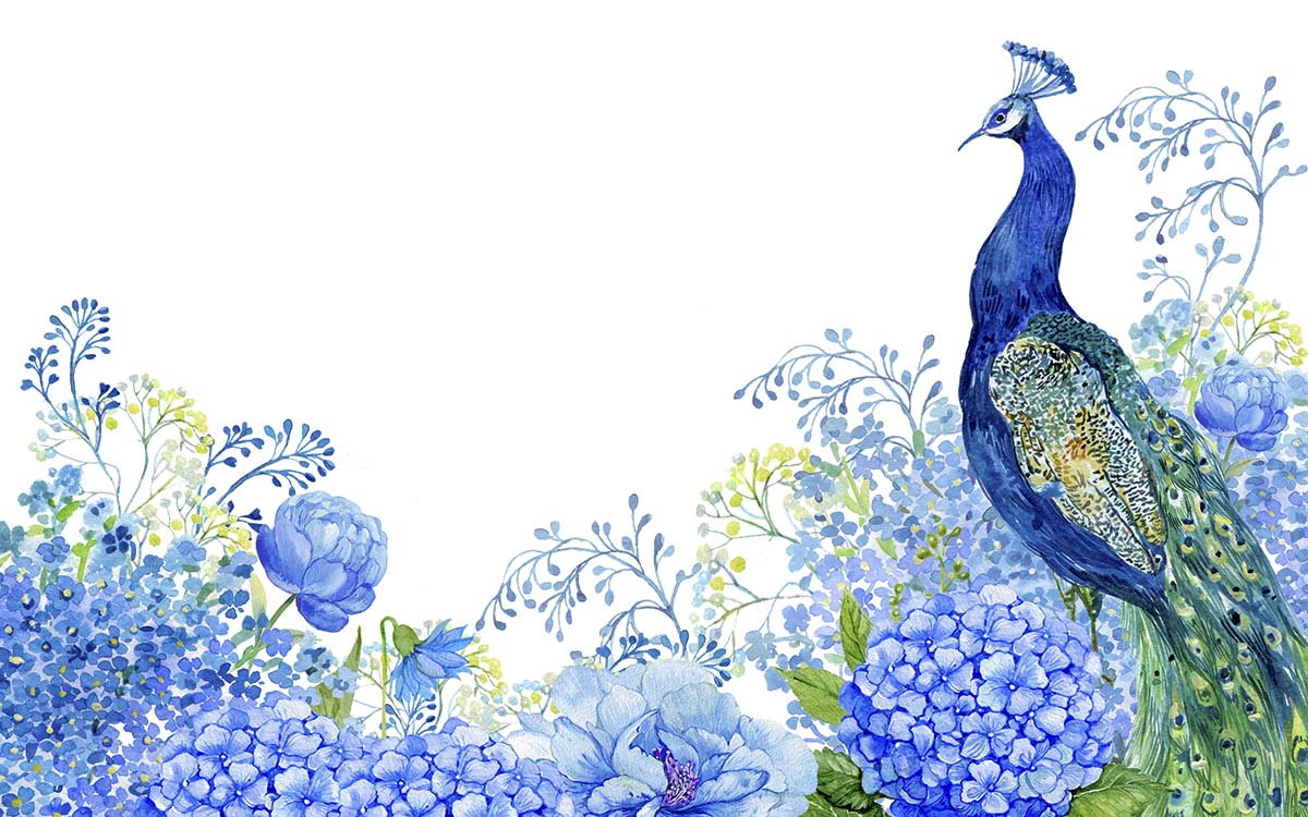 A watercolor of a peacock and flowers