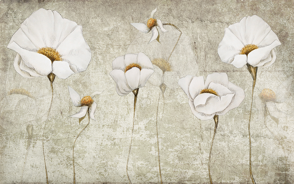 A group of white flowers