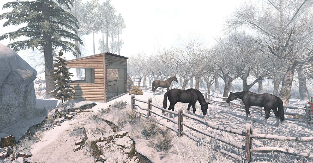 A group of horses in a snowy area