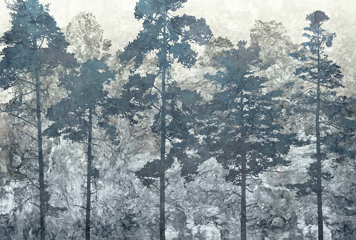 A group of trees in a forest
