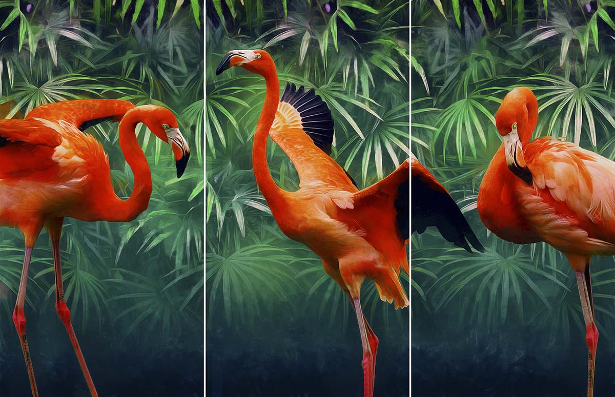 Red Flamingo Wallpaper for Walls