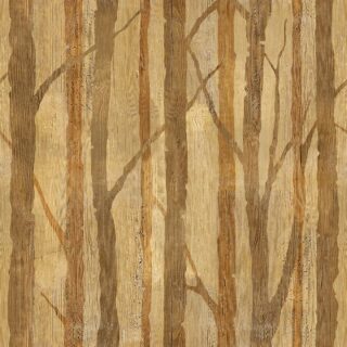 Tree Design Wood Texture Wallpaper