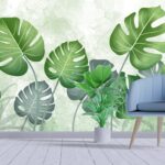 Swiss Cheese Plant Wallpaper for Home