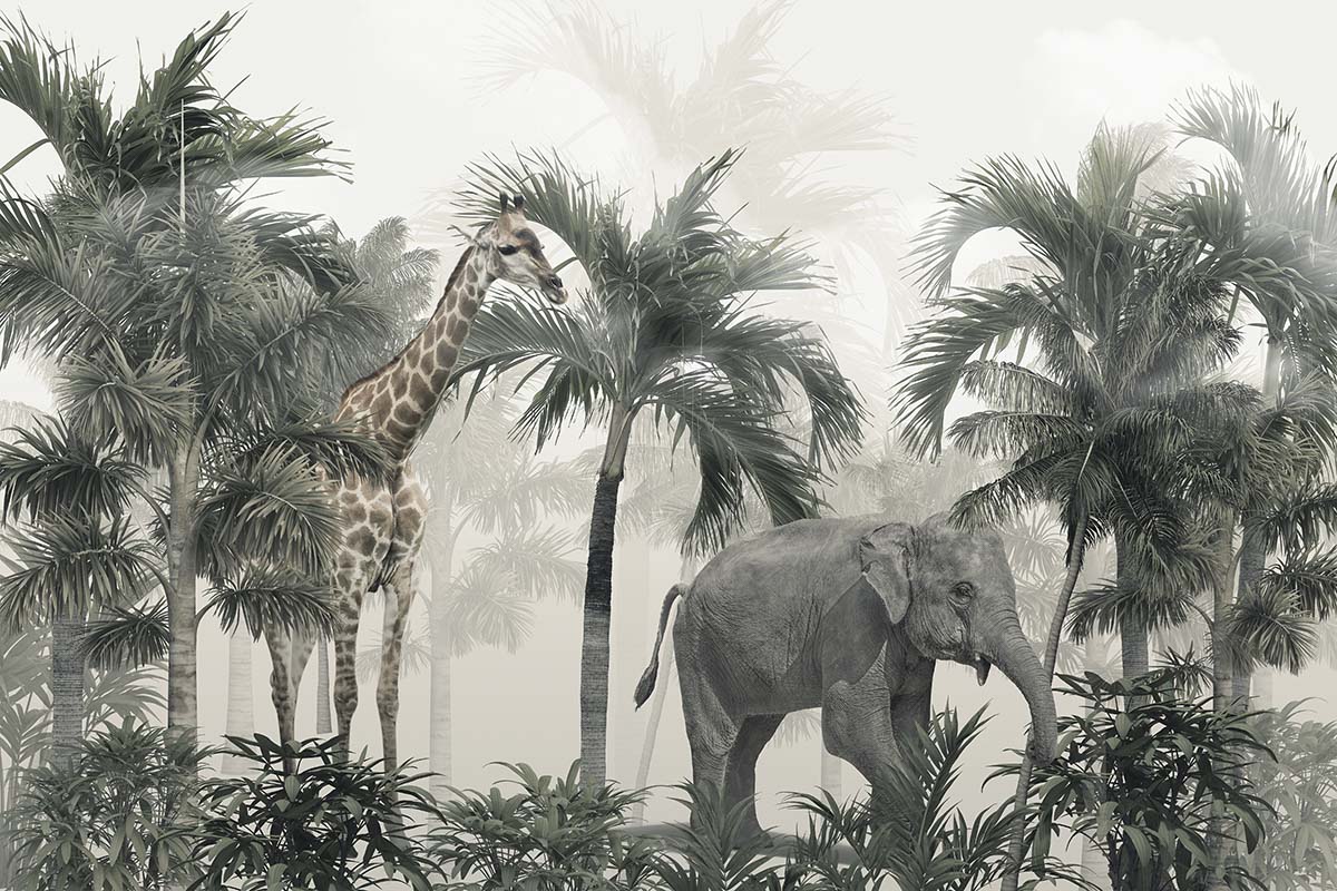 A giraffe and elephant in a forest