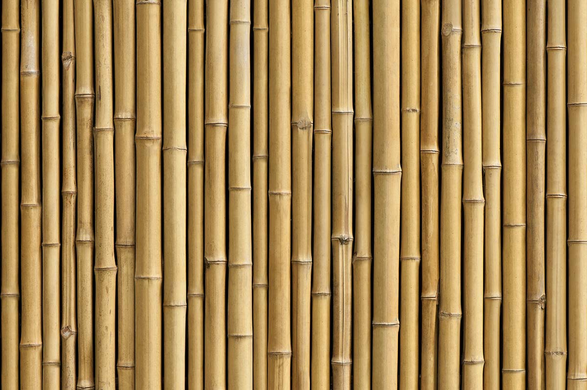 Close up 3D Bamboo Wallpaper for Wall - Magic Decor