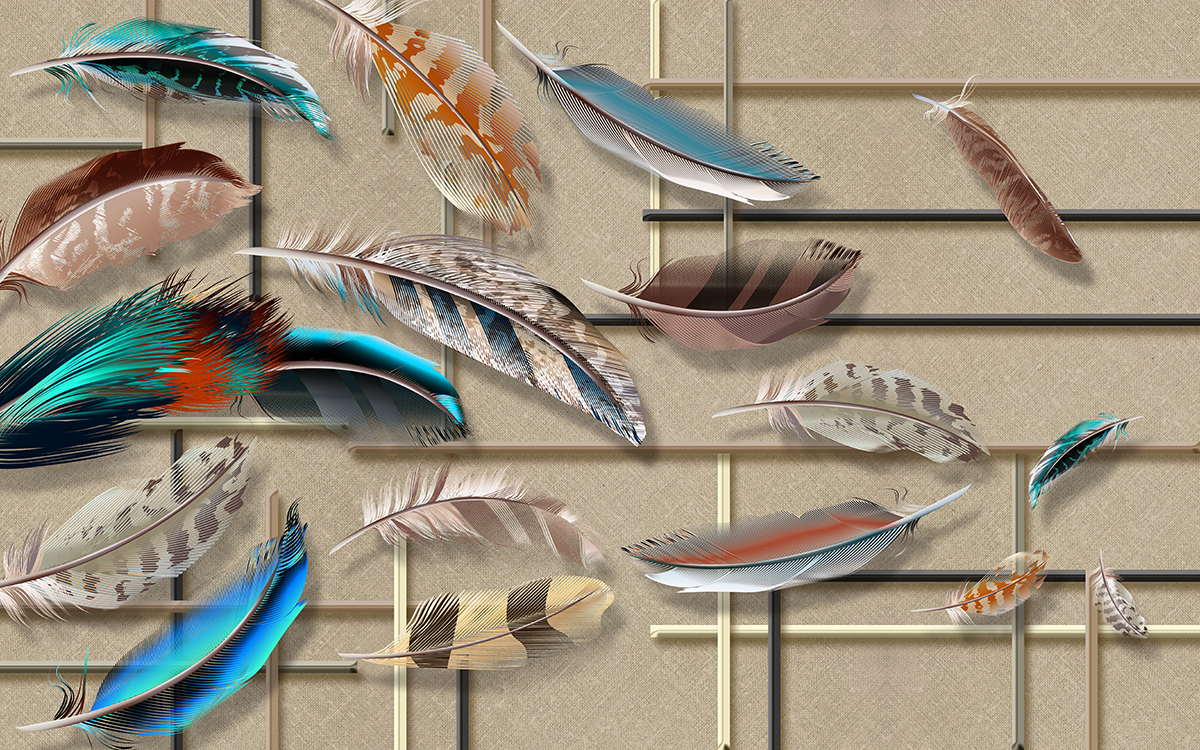 A group of feathers on a wall