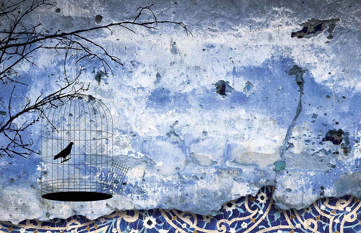 A bird in a cage on a blue wall