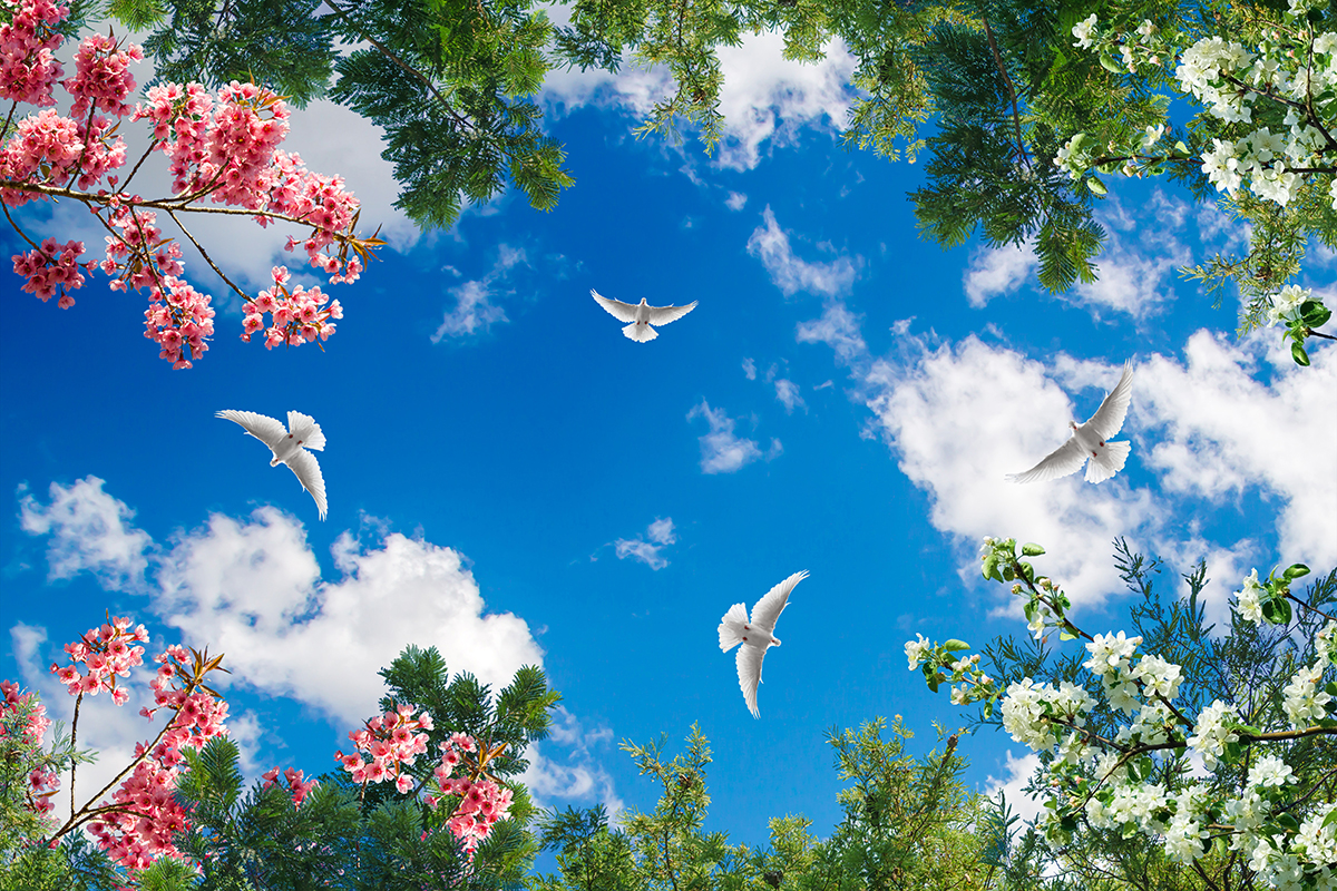 Birds flying in the sky