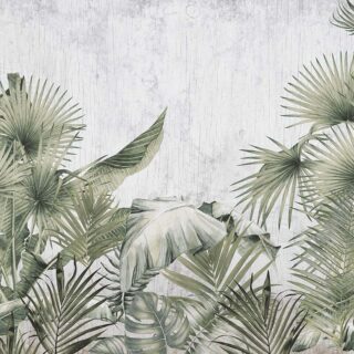 Palm Leaves Wallpaper for Walls