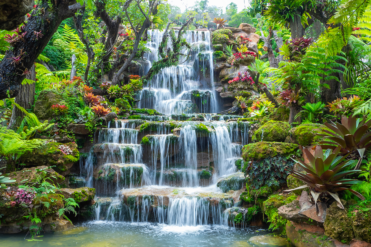 A waterfall surrounded by trees and plants