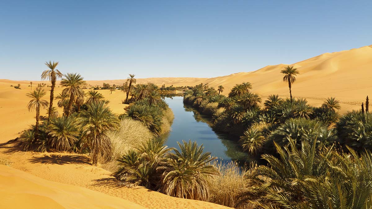 A river in a desert with palm trees