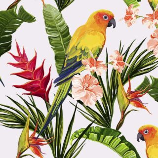Colorful Tropical Leaves and Parrot Wallpaper for Wall