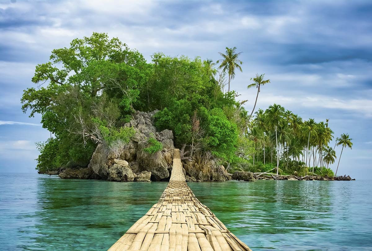 A wooden bridge over water with trees and rocks