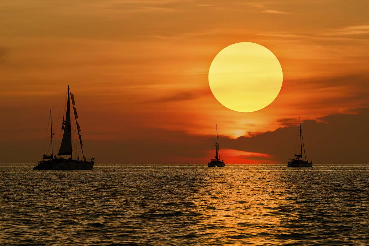 A group of sailboats in the water at sunset