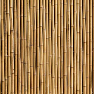 3D Bamboo Wallpaper for Wall