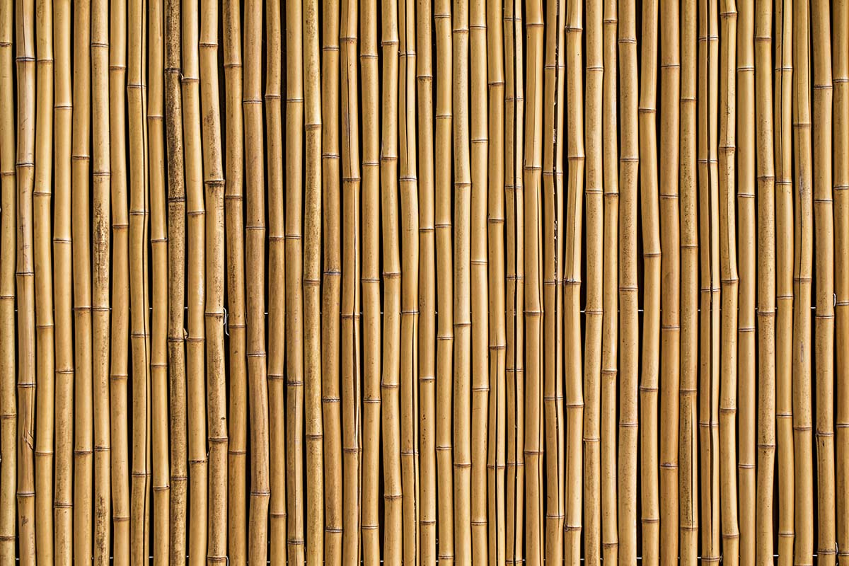 3D Bamboo Wallpaper for Wall - Magic Decor