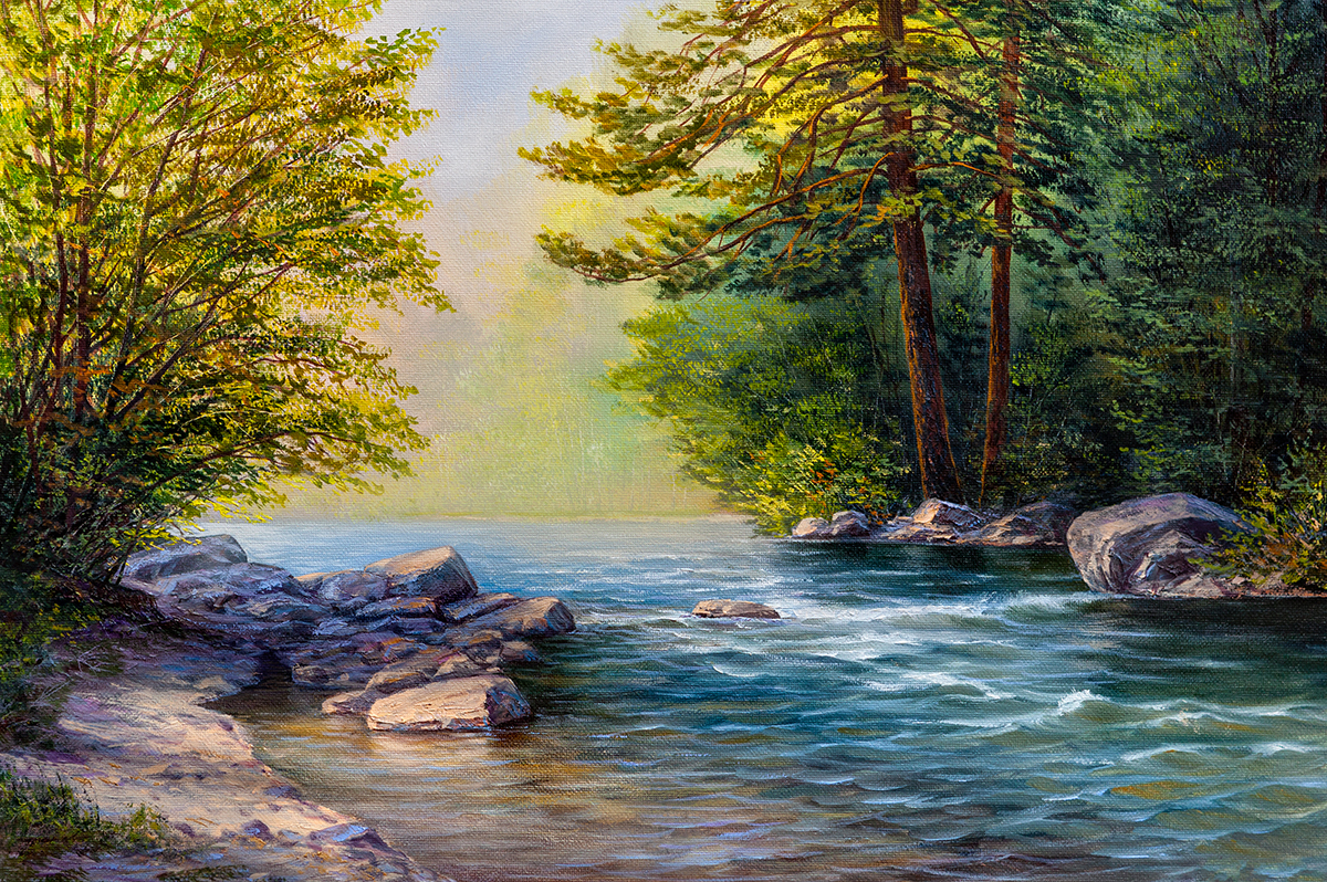 A river with rocks and trees