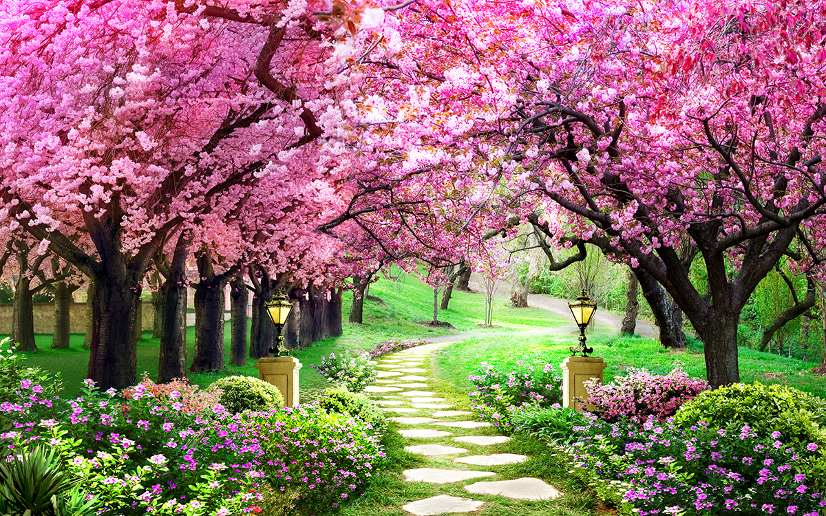 A path with pink flowers and trees