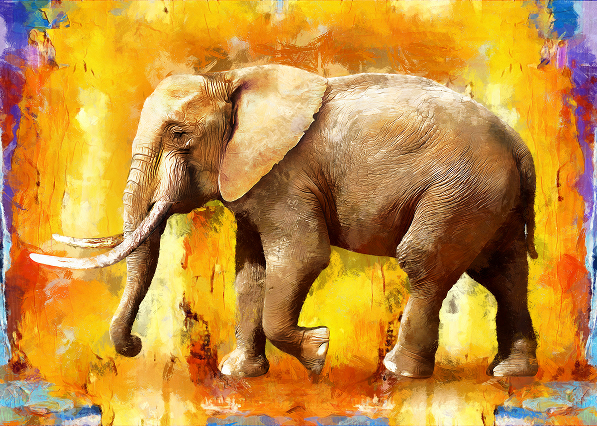 An elephant walking on a yellow background