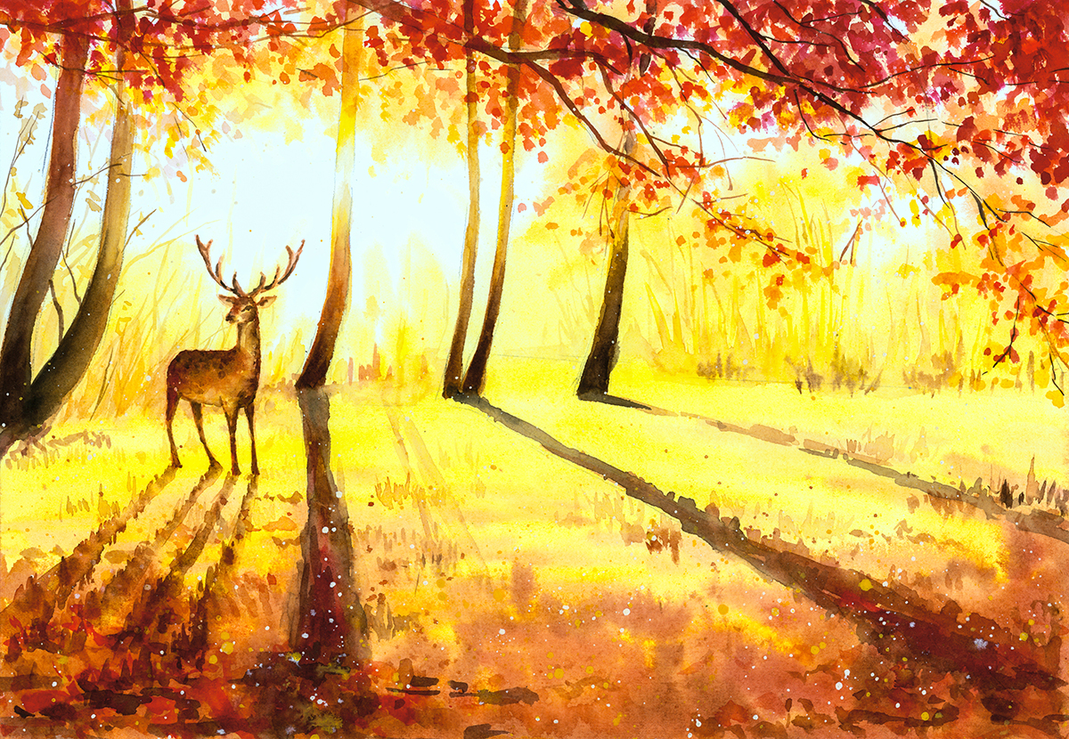 A watercolor of a deer in a forest