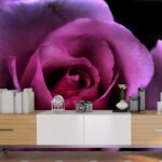 Purple Rose Wallpaper for Home