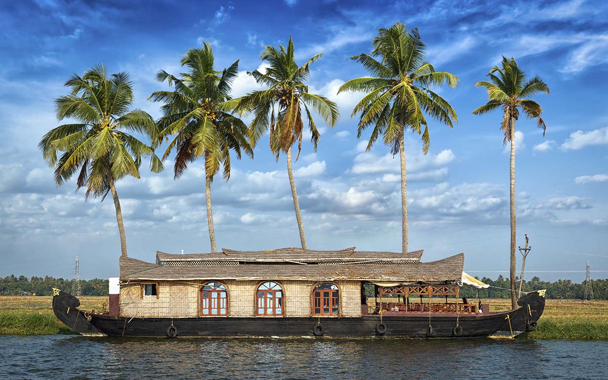 A boat on the water with palm trees