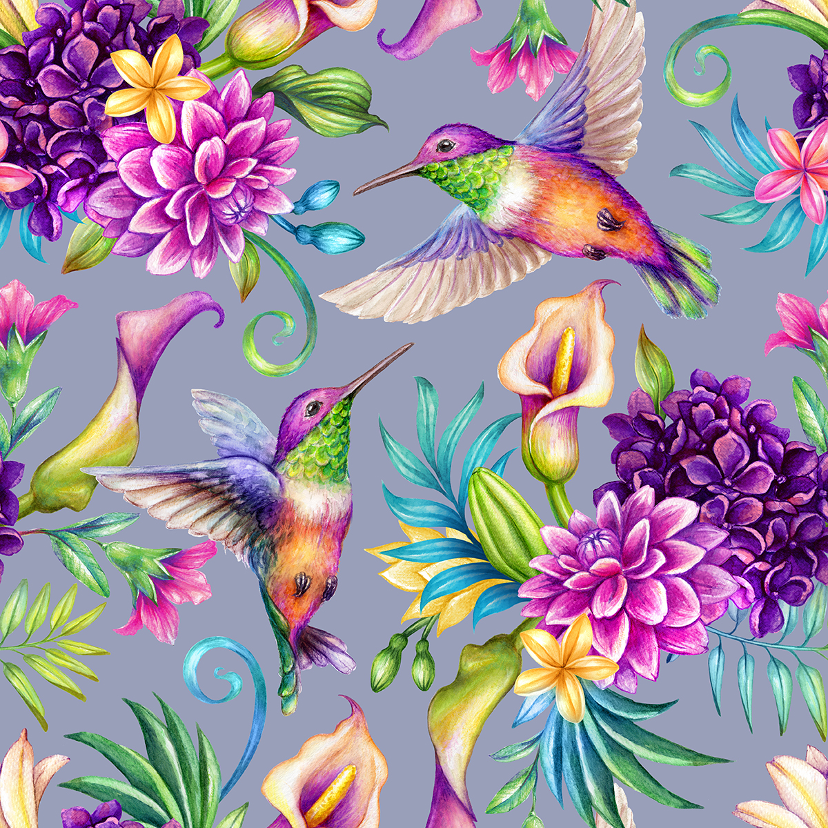 A colorful hummingbirds and flowers