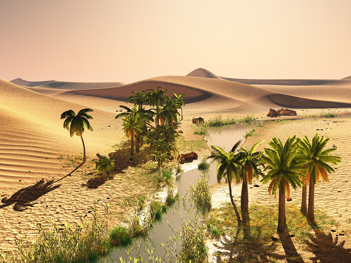 A desert with palm trees and a river